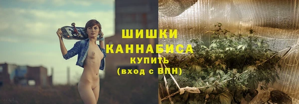 PSILOCYBIN Няндома