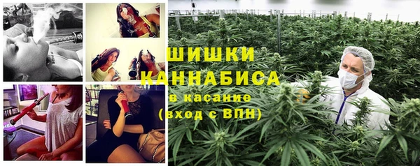 MESCALINE Осинники