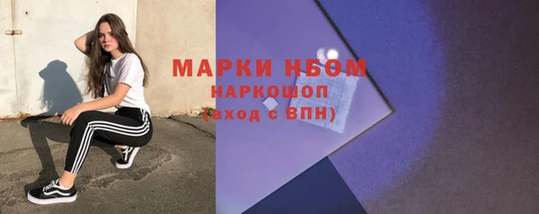 шишки Туринск