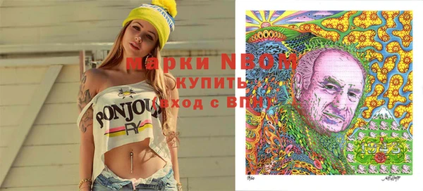 PSILOCYBIN Няндома