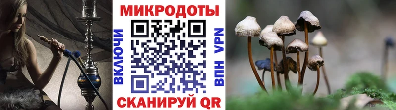 Галлюциногенные грибы Psilocybe  Красноперекопск 