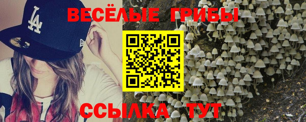 Псилоцибиновые грибы прущие грибы  где можно купить   Красноперекопск  Вход с VPN 